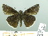  ( - HESP-EB 03 023)  @13 [ ] Copyright (2012) Ersnt Brockmann Research Collection of Ernst Brockmann