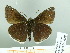  ( - HESP-EB 03 028)  @13 [ ] Copyright (2012) Ersnt Brockmann Research Collection of Ernst Brockmann