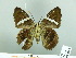  ( - HESP-EB 03 053)  @12 [ ] Copyright (2012) Ersnt Brockmann Research Collection of Ernst Brockmann