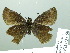  ( - HESP-EB 03 068)  @12 [ ] Copyright (2012) Ersnt Brockmann Research Collection of Ernst Brockmann