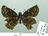  ( - HESP-EB 03 068)  @12 [ ] Copyright (2012) Ersnt Brockmann Research Collection of Ernst Brockmann