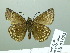 ( - HESP-EB 03 082)  @12 [ ] Copyright (2012) Ersnt Brockmann Research Collection of Ernst Brockmann