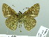  ( - HESP-EB 03 084)  @12 [ ] Copyright (2012) Ersnt Brockmann Research Collection of Ernst Brockmann