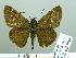  ( - HESP-EB 03 084)  @12 [ ] Copyright (2012) Ersnt Brockmann Research Collection of Ernst Brockmann