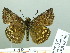  ( - HESP-EB 03 087)  @12 [ ] Copyright (2012) Ersnt Brockmann Research Collection of Ernst Brockmann