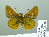  ( - HESP-EB 03 090)  @12 [ ] Copyright (2012) Ersnt Brockmann Research Collection of Ernst Brockmann