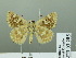  ( - HESP-EB 03 205)  @13 [ ] Copyright (2012) Ersnt Brockmann Research Collection of Ernst Brockmann
