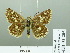  ( - HESP-EB 03 205)  @13 [ ] Copyright (2012) Ersnt Brockmann Research Collection of Ernst Brockmann