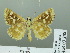  ( - HESP-EB 03 208)  @12 [ ] Copyright (2012) Ersnt Brockmann Research Collection of Ernst Brockmann