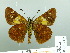  ( - HESP-EB 03 219)  @12 [ ] Copyright (2012) Ersnt Brockmann Research Collection of Ernst Brockmann