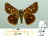  ( - HESP-EB 03 223)  @12 [ ] Copyright (2012) Ersnt Brockmann Research Collection of Ernst Brockmann