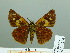  ( - HESP-EB 03 224)  @12 [ ] Copyright (2012) Ersnt Brockmann Research Collection of Ernst Brockmann