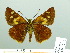  ( - HESP-EB 03 225)  @12 [ ] Copyright (2012) Ersnt Brockmann Research Collection of Ernst Brockmann