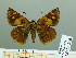  ( - HESP-EB 03 226)  @12 [ ] Copyright (2012) Ersnt Brockmann Research Collection of Ernst Brockmann