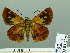 ( - HESP-EB 03 228)  @12 [ ] Copyright (2012) Ersnt Brockmann Research Collection of Ernst Brockmann