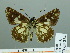  ( - HESP-EB 03 234)  @12 [ ] Copyright (2012) Ersnt Brockmann Research Collection of Ernst Brockmann