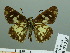  ( - HESP-EB 03 235)  @12 [ ] Copyright (2012) Ersnt Brockmann Research Collection of Ernst Brockmann