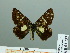  ( - HESP-EB 03 237)  @13 [ ] Copyright (2012) Ersnt Brockmann Research Collection of Ernst Brockmann