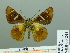  ( - HESP-EB 03 241)  @12 [ ] Copyright (2012) Ersnt Brockmann Research Collection of Ernst Brockmann