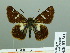  ( - HESP-EB 03 241)  @13 [ ] Copyright (2012) Ersnt Brockmann Research Collection of Ernst Brockmann
