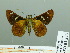 ( - HESP-EB 03 243)  @13 [ ] Copyright (2012) Ersnt Brockmann Research Collection of Ernst Brockmann