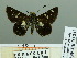  ( - HESP-EB 03 243)  @13 [ ] Copyright (2012) Ersnt Brockmann Research Collection of Ernst Brockmann