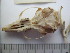  ( - USNM-2DEAD)  @12 [ ] Unspecified (default): All Rights Reserved  Unspecified Unspecified
