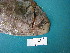  ( - HvdB-Jan-2011-02)  @11 [ ] No Rights Reserved  Herman van der Bank Unspecified