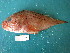  ( - HvdB-Jan-2011-07)  @11 [ ] No Rights Reserved  Herman van der Bank Unspecified