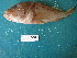  ( - HvdB-Jan-2011-08)  @12 [ ] No Rights Reserved  Herman van der Bank Unspecified