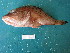  ( - HvdB-Jan-2011-10)  @14 [ ] No Rights Reserved  Herman van der Bank Unspecified