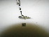  ( - HvdB-10-2010-27)  @12 [ ] Unspecified (default): All Rights Reserved  Unspecified Unspecified