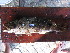  ( - HvdB-02-2011-MZ_093)  @12 [ ] Unspecified (default): All Rights Reserved  Unspecified Unspecified