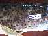  ( - HvdB-02-2011-MZ_094)  @12 [ ] Unspecified (default): All Rights Reserved  Unspecified Unspecified