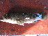  ( - HvdB-02-2011-MZ_094)  @12 [ ] Unspecified (default): All Rights Reserved  Unspecified Unspecified