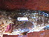  ( - HvdB-02-2011-MZ_096)  @12 [ ] Unspecified (default): All Rights Reserved  Unspecified Unspecified