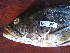  ( - HvdB-02-2011-MZ_097)  @12 [ ] Unspecified (default): All Rights Reserved  Unspecified Unspecified