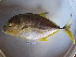  ( - HvdB-02-2011-MZ_091)  @14 [ ] Unspecified (default): All Rights Reserved  Unspecified Unspecified