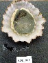  ( - HVDBM-ROB-11)  @13 [ ] Unspecified (default): All Rights Reserved  Unspecified Unspecified