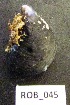  ( - HVDBM-ROB-45)  @12 [ ] Unspecified (default): All Rights Reserved  Unspecified Unspecified