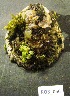  ( - HVDBM-ROB-66)  @13 [ ] Unspecified (default): All Rights Reserved  Unspecified Unspecified