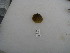  ( - HvdB-10-2010-269)  @13 [ ] Unspecified (default): All Rights Reserved  Unspecified Unspecified