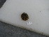  ( - HvdB-10-2010-270)  @12 [ ] Unspecified (default): All Rights Reserved  Unspecified Unspecified