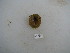  ( - HvdB-10-2010-277)  @12 [ ] Unspecified (default): All Rights Reserved  Unspecified Unspecified