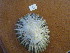  ( - HvdB-11-2010-32)  @13 [ ] Unspecified (default): All Rights Reserved  Unspecified Unspecified