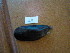  ( - HvdB-11-2010-44)  @11 [ ] Unspecified (default): All Rights Reserved  Unspecified Unspecified