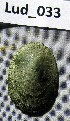  ( - HvdB-Lud-033)  @13 [ ] Unspecified (default): All Rights Reserved  Unspecified Unspecified