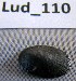  ( - HvdB-Lud-110)  @12 [ ] Unspecified (default): All Rights Reserved  Unspecified Unspecified