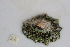  ( - HvdB-10-2010-218)  @13 [ ] Unspecified (default): All Rights Reserved  Unspecified Unspecified