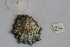  ( - HvdB-10-2010-215)  @13 [ ] Unspecified (default): All Rights Reserved  Unspecified Unspecified